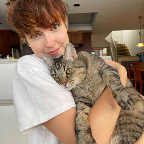 Chicago Cat Sitters