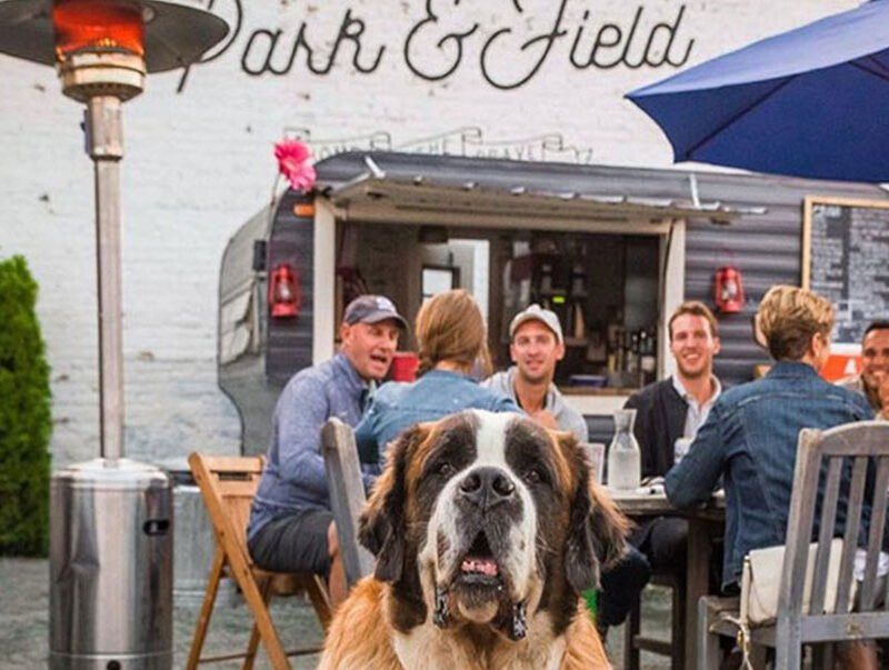 Chicago Dog Walkers