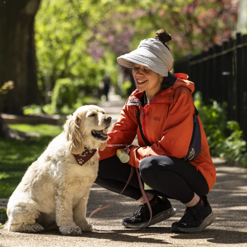 A Chicago Pet Sitters dog walker stops to pet a dog she is walking on a sunny day.
