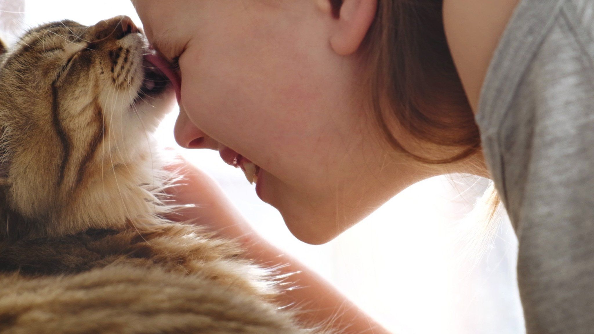 cat licking forehead of caregiver